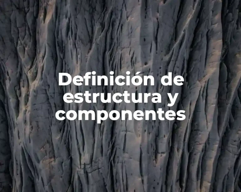 Definición de estructura y componentes