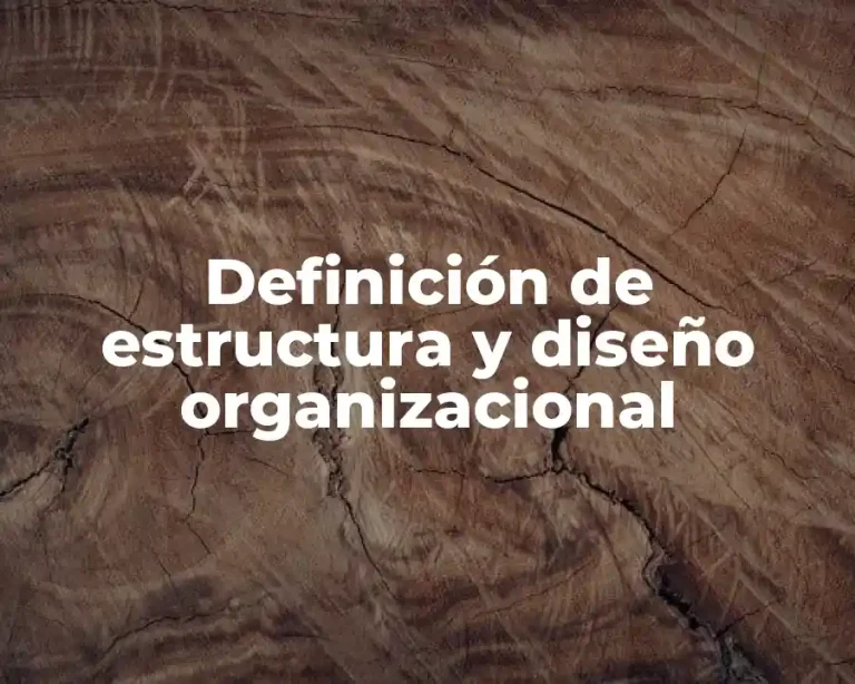 Definición de estructura y diseño organizacional