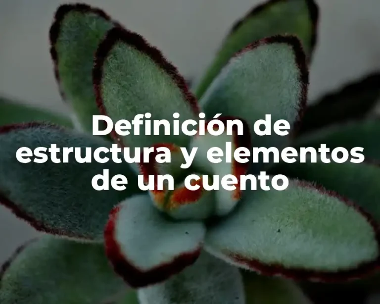 Definición de estructura y elementos de un cuento