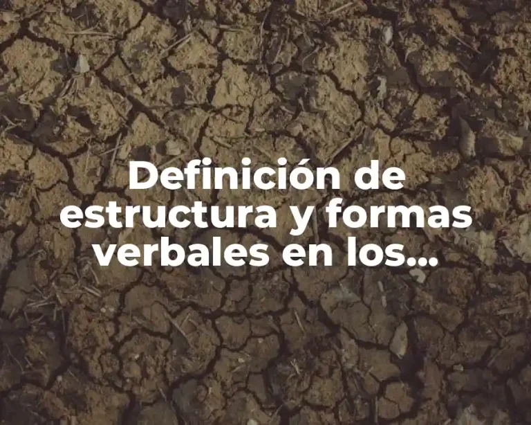 Definición de estructura y formas verbales en los reglamentos