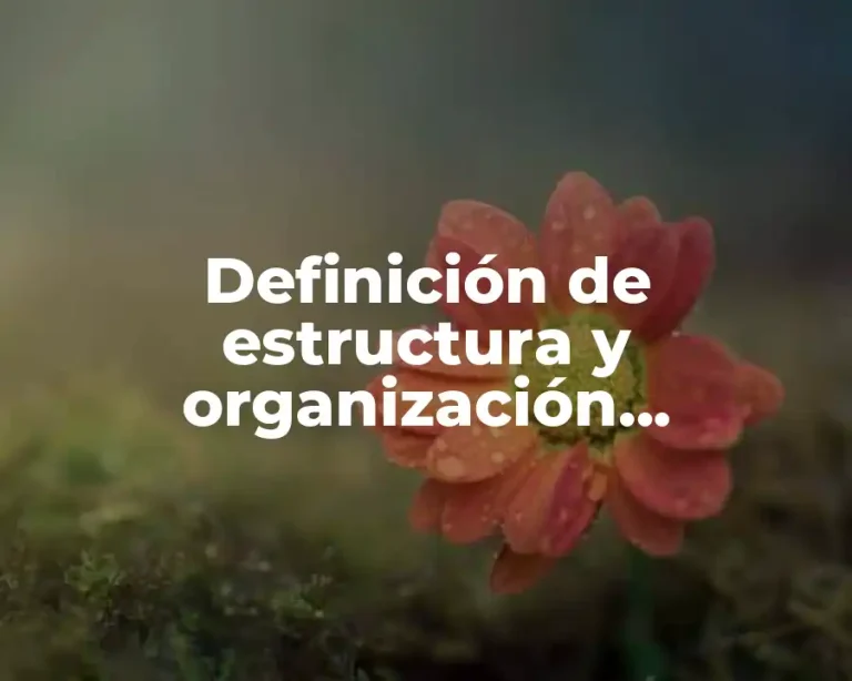 Definición de estructura y organización administrativo fiscal