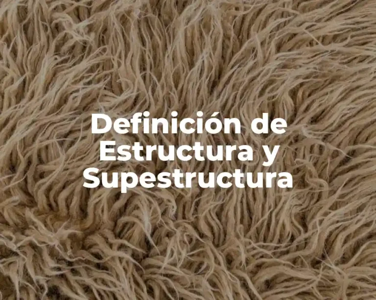 Definición de Estructura y Supestructura