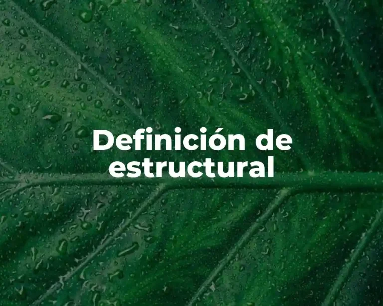 Definición de estructural