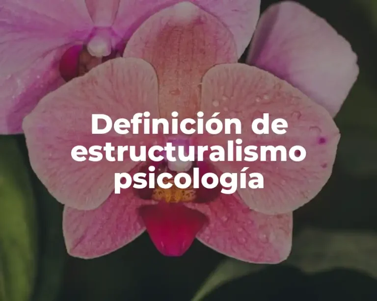 Definición de estructuralismo psicología
