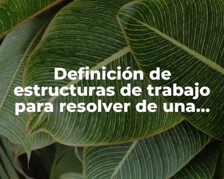 Definición de estructuras de trabajo para resolver de una exposición
