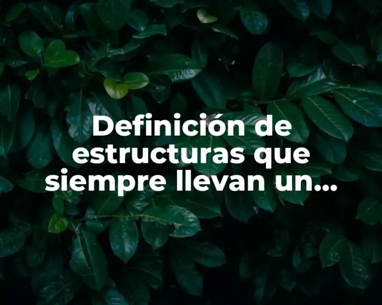 Definición de estructuras que siempre llevan un orden