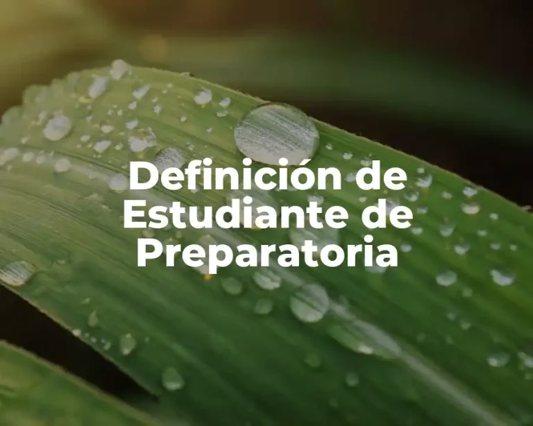 Definición de Estudiante de Preparatoria