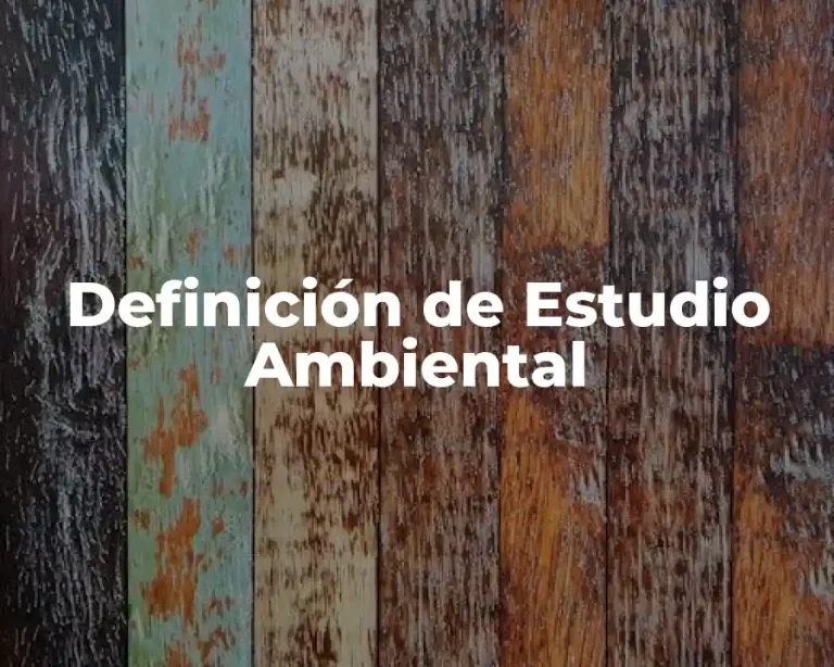Definición de Estudio Ambiental