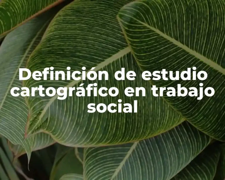 Definición de estudio cartográfico en trabajo social