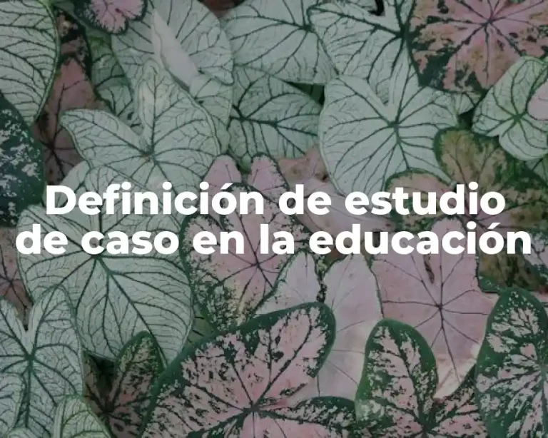 Definición de estudio de caso en la educación