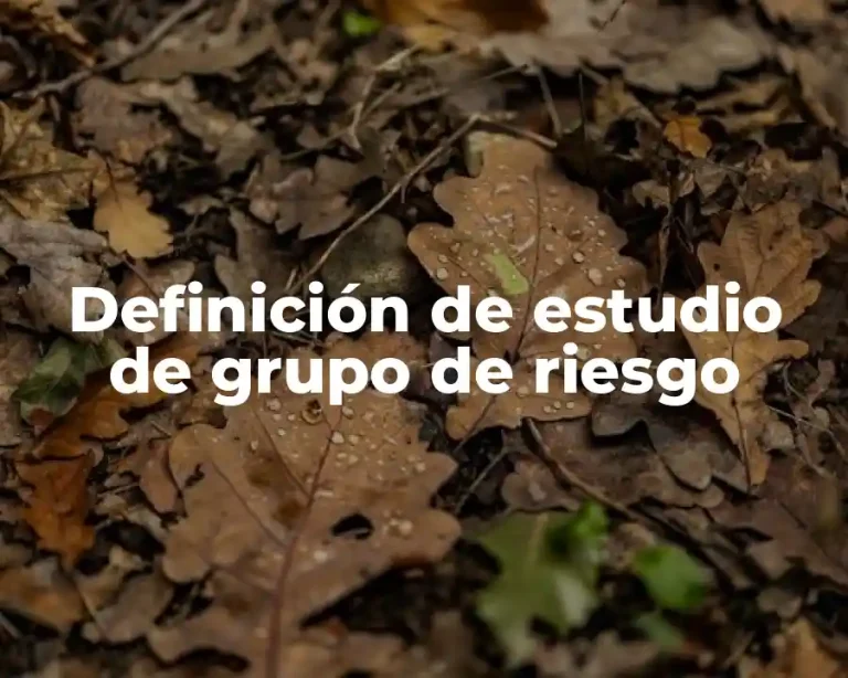 Definición de estudio de grupo de riesgo