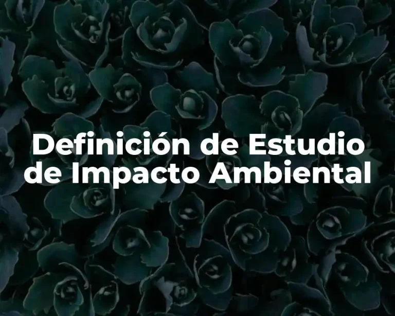 Definición de Estudio de Impacto Ambiental
