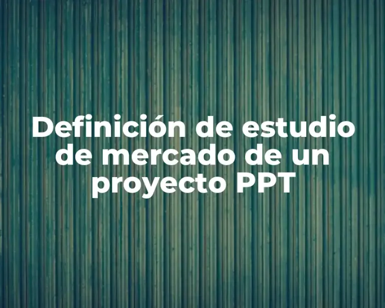 Definición de estudio de mercado de un proyecto PPT