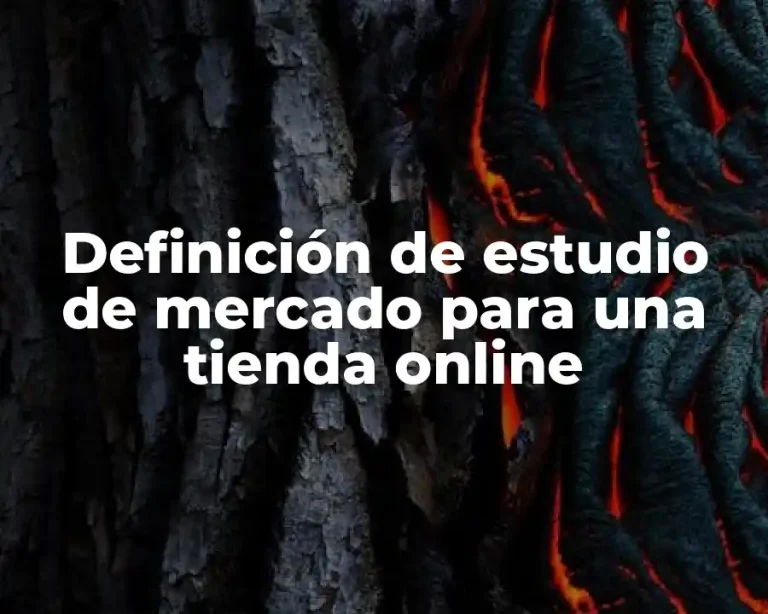 Definición de estudio de mercado para una tienda online