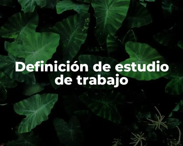 Definición de estudio de trabajo