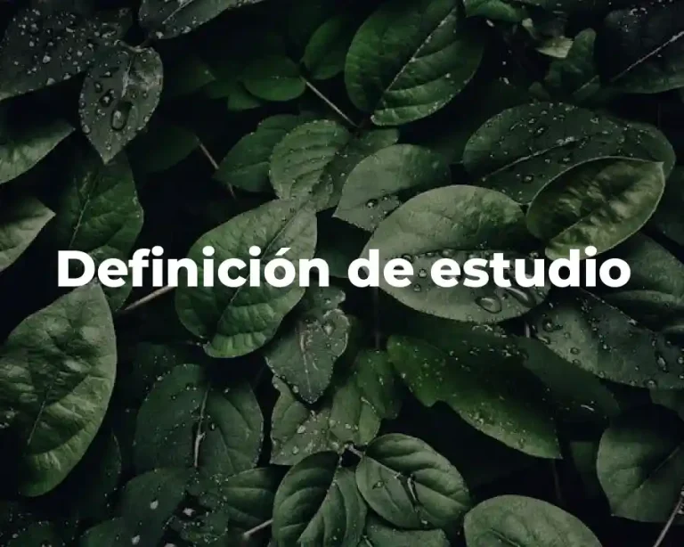 Definición de estudio