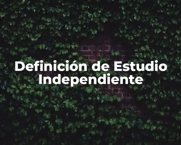 Definición de Estudio Independiente