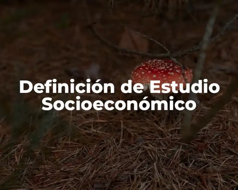 Definición de Estudio Socioeconómico