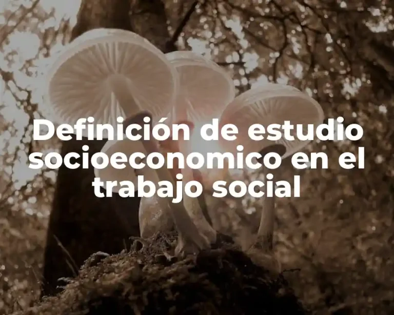 Definición de estudio socioeconomico en el trabajo social