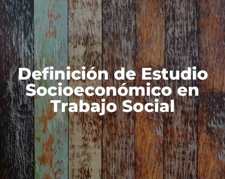 Definición de Estudio Socioeconómico en Trabajo Social