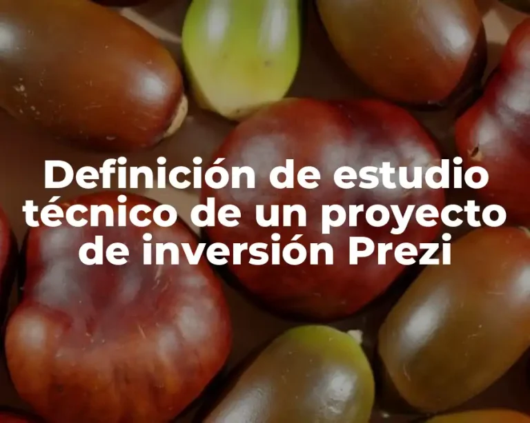 Definición de estudio técnico de un proyecto de inversión Prezi