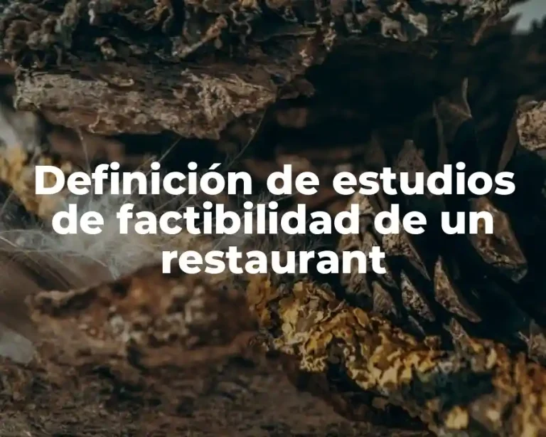 Definición de estudios de factibilidad de un restaurant