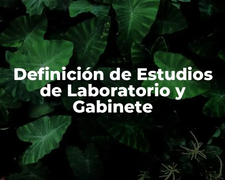 Definición de Estudios de Laboratorio y Gabinete