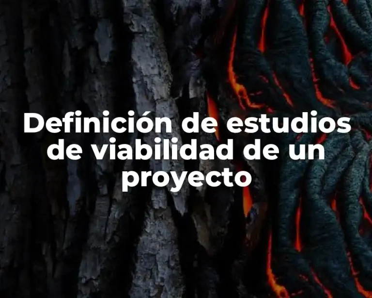 Definición de estudios de viabilidad de un proyecto