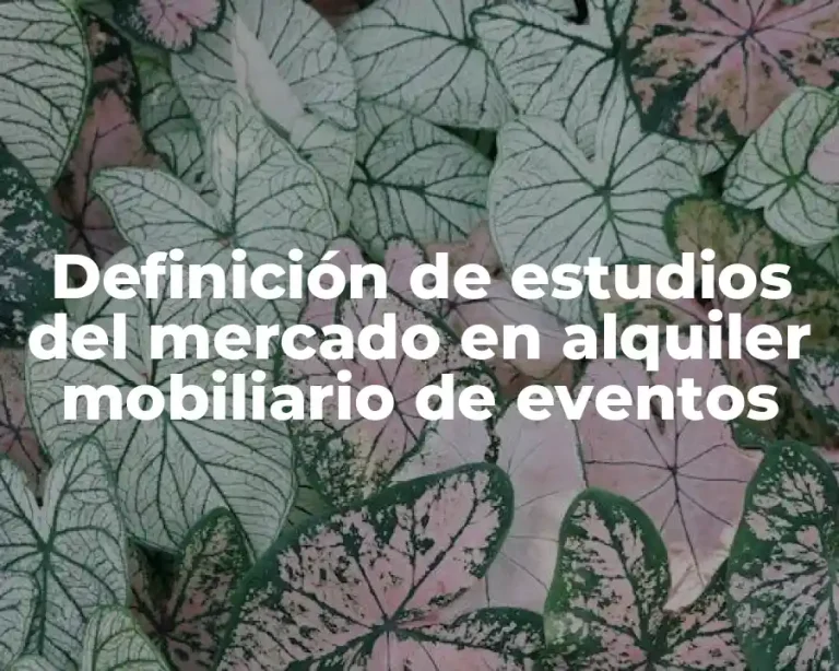 Definición de estudios del mercado en alquiler mobiliario de eventos