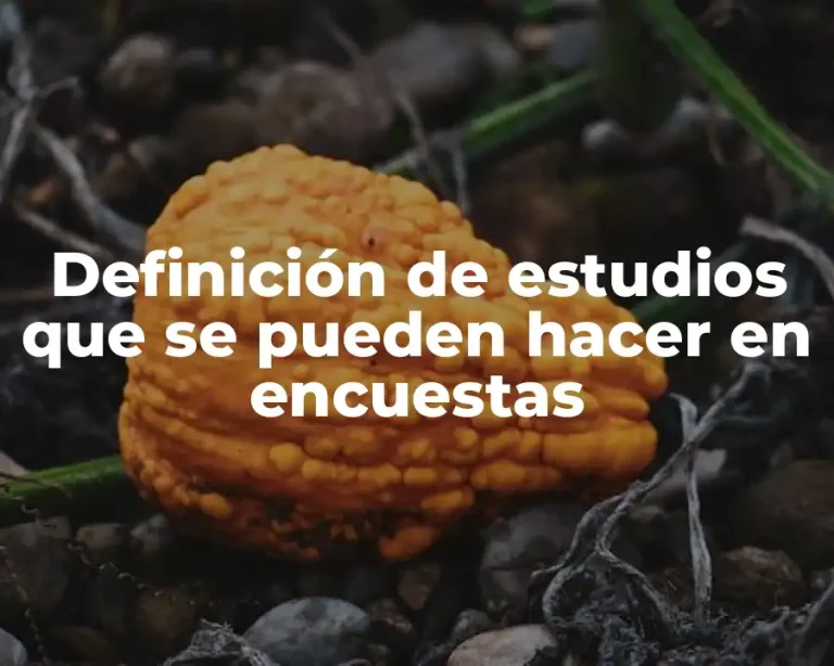 Definición de estudios que se pueden hacer en encuestas