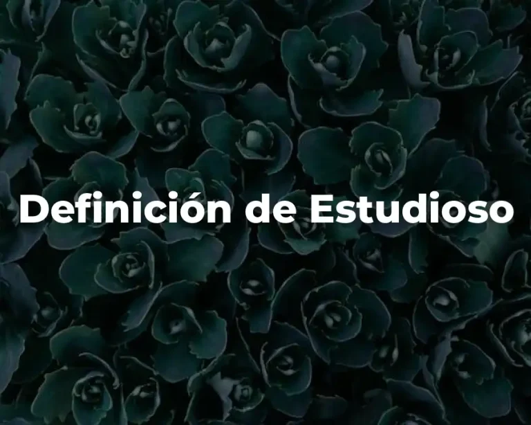 Definición de Estudioso