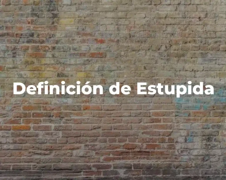Definición de Estupida