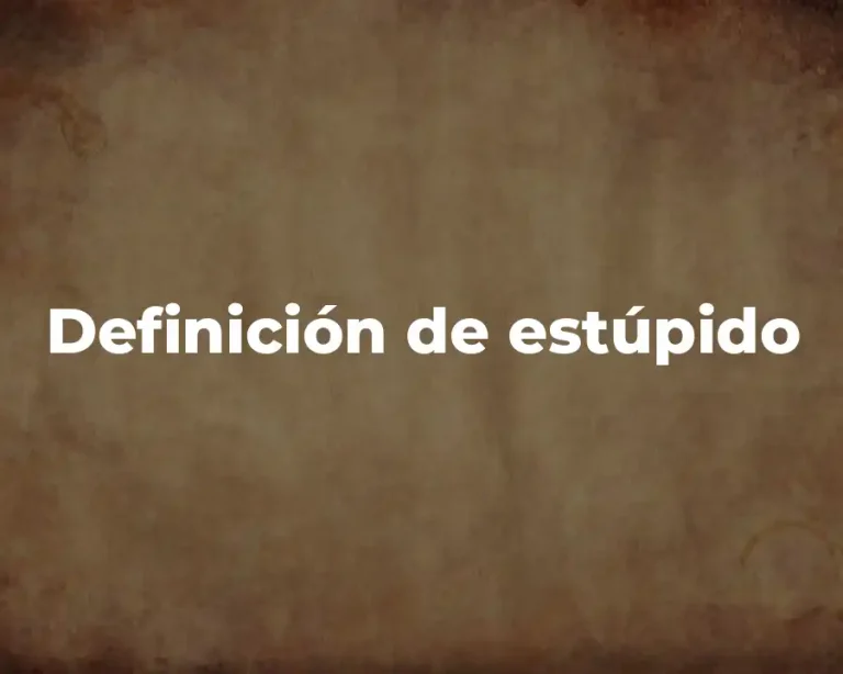 Definición de estúpido