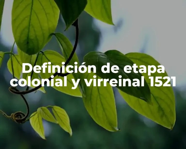 Definición de etapa colonial y virreinal 1521
