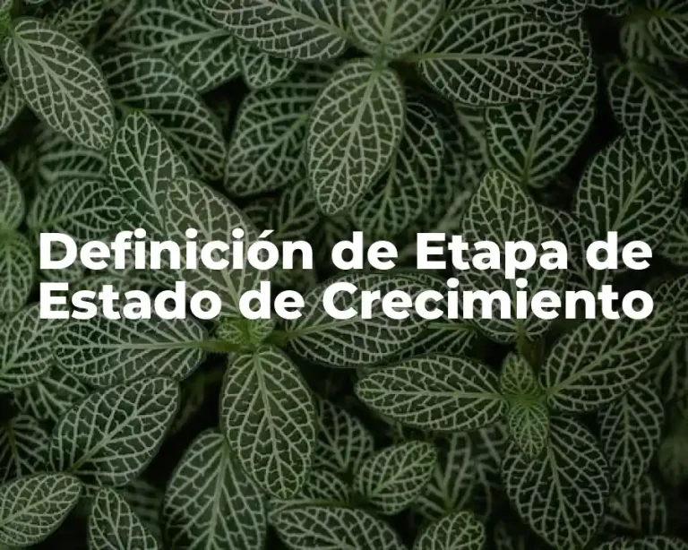 Definición de Etapa de Estado de Crecimiento