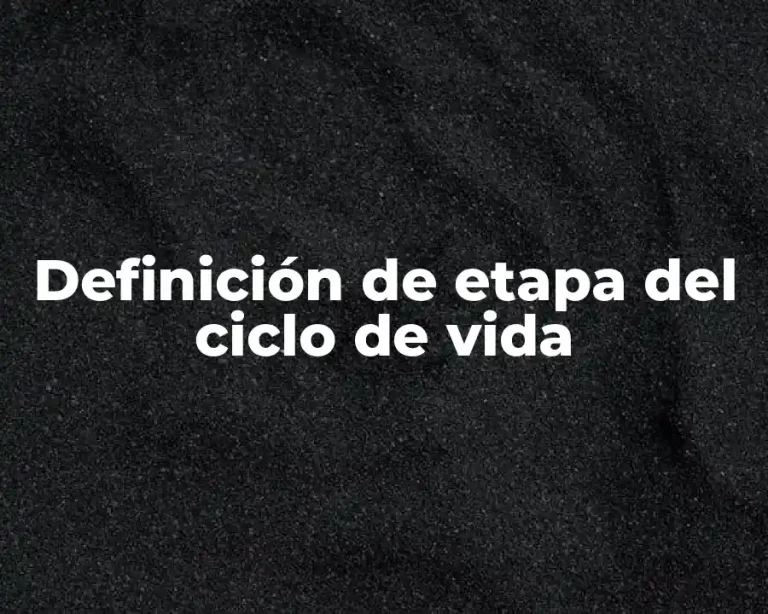 Definición de etapa del ciclo de vida