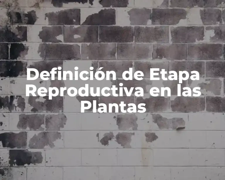 Definición de Etapa Reproductiva en las Plantas