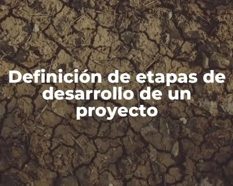 Definición de etapas de desarrollo de un proyecto