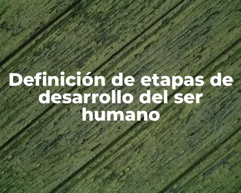 Definición de etapas de desarrollo del ser humano