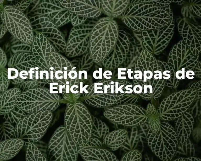 Definición de Etapas de Erick Erikson