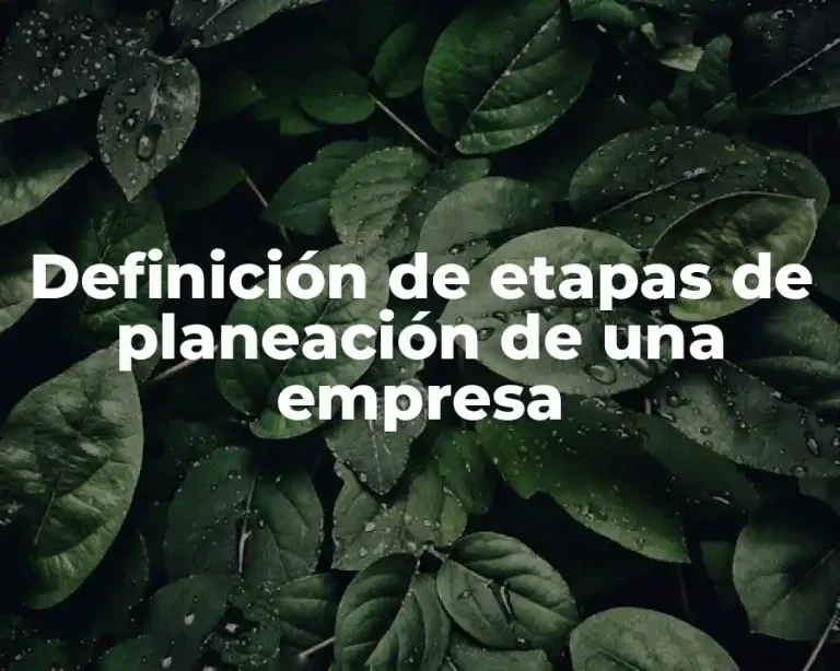 Definición de etapas de planeación de una empresa