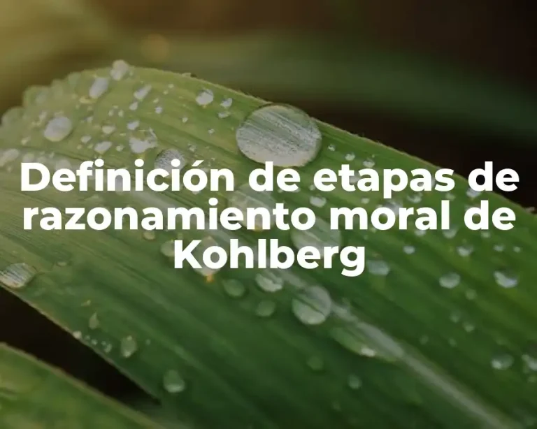 Definición de etapas de razonamiento moral de Kohlberg