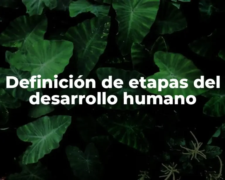 Definición de etapas del desarrollo humano