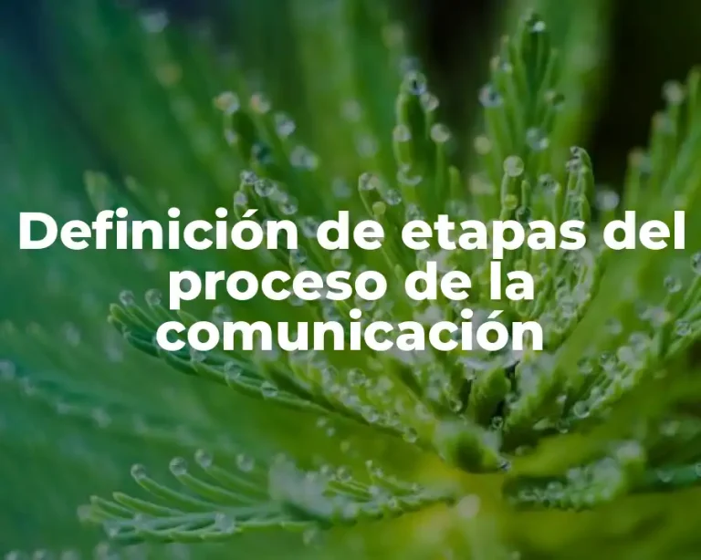 Definición de etapas del proceso de la comunicación