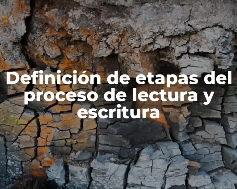 Definición de etapas del proceso de lectura y escritura