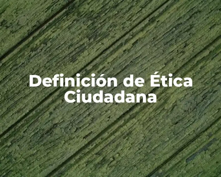 Definición de Ética Ciudadana