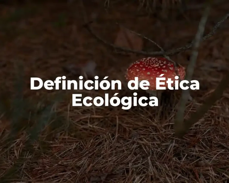 Definición de Ética Ecológica