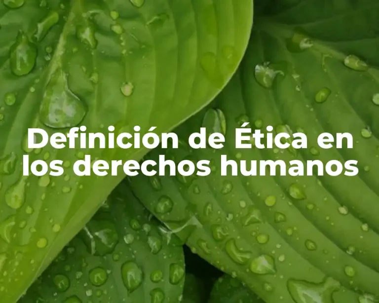 Definición de Ética en los derechos humanos