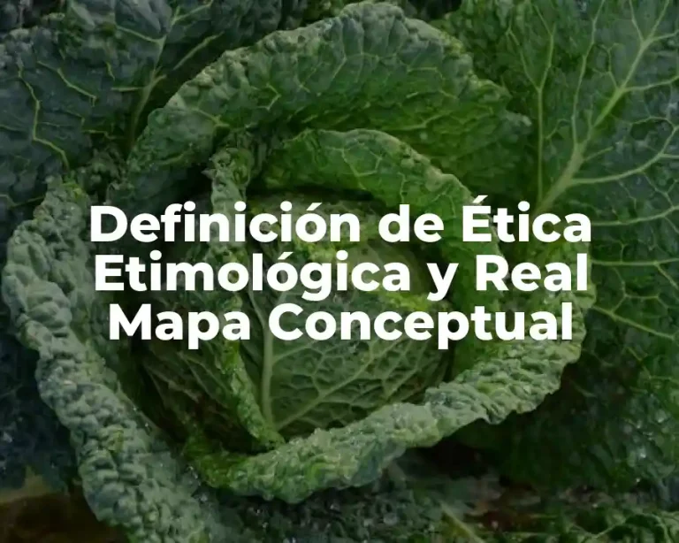 Definición de Ética Etimológica y Real Mapa Conceptual