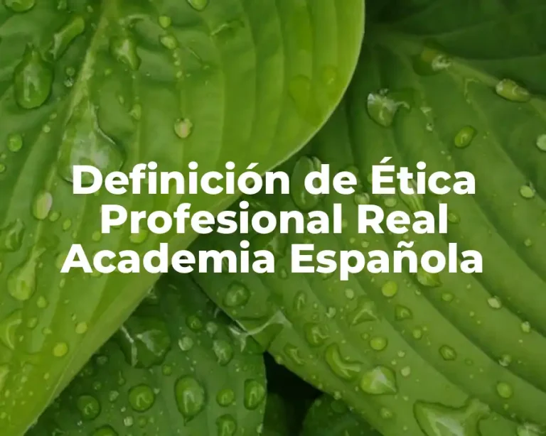 Definición de Ética Profesional Real Academia Española